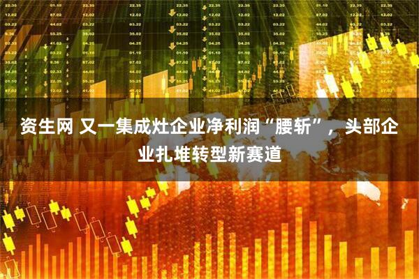 资生网 又一集成灶企业净利润“腰斩”，头部企业扎堆转型新赛道