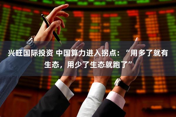 兴旺国际投资 中国算力进入拐点：“用多了就有生态，用少了生态就跑了”